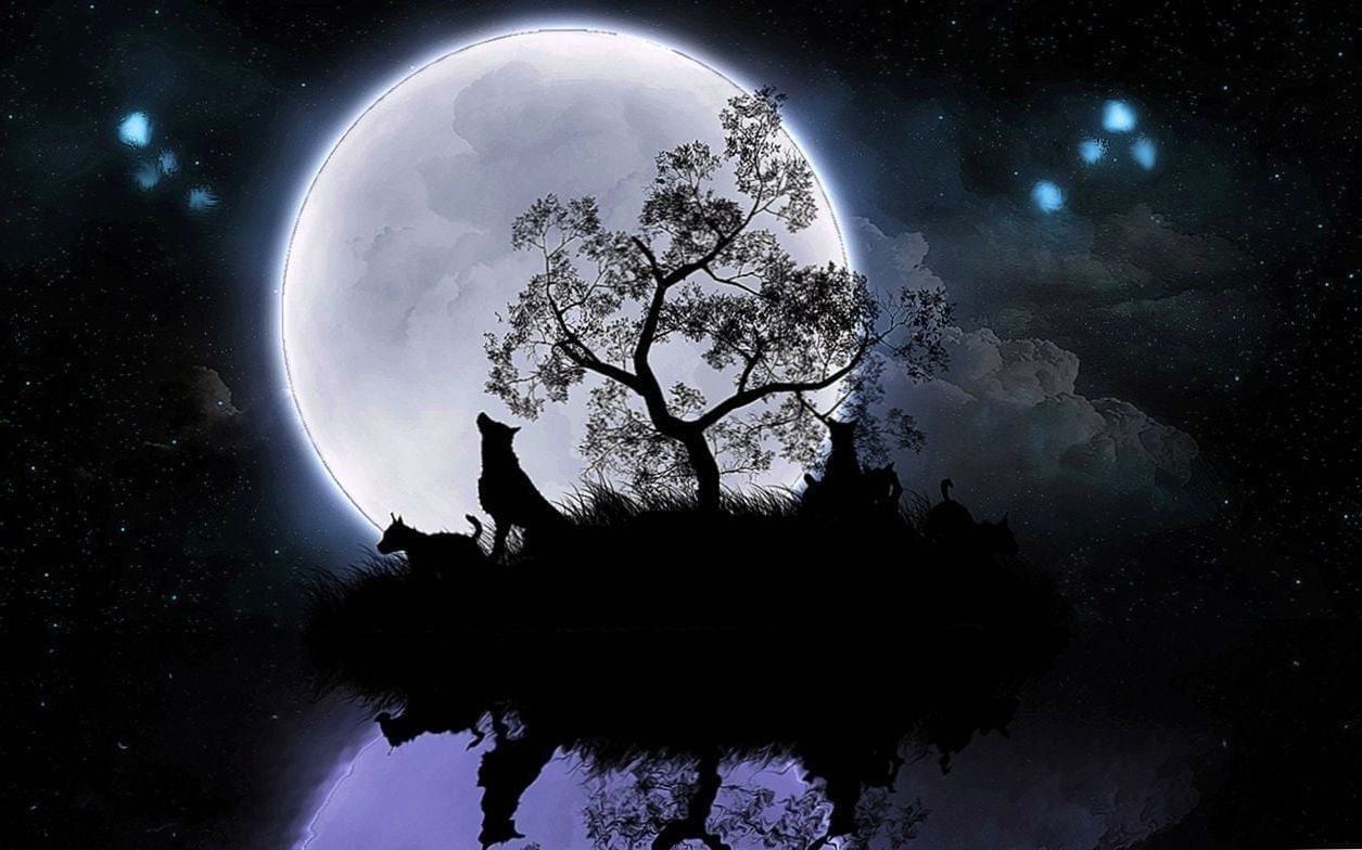 Wolf Full Moon Wallpaper Wallpaper.Pro