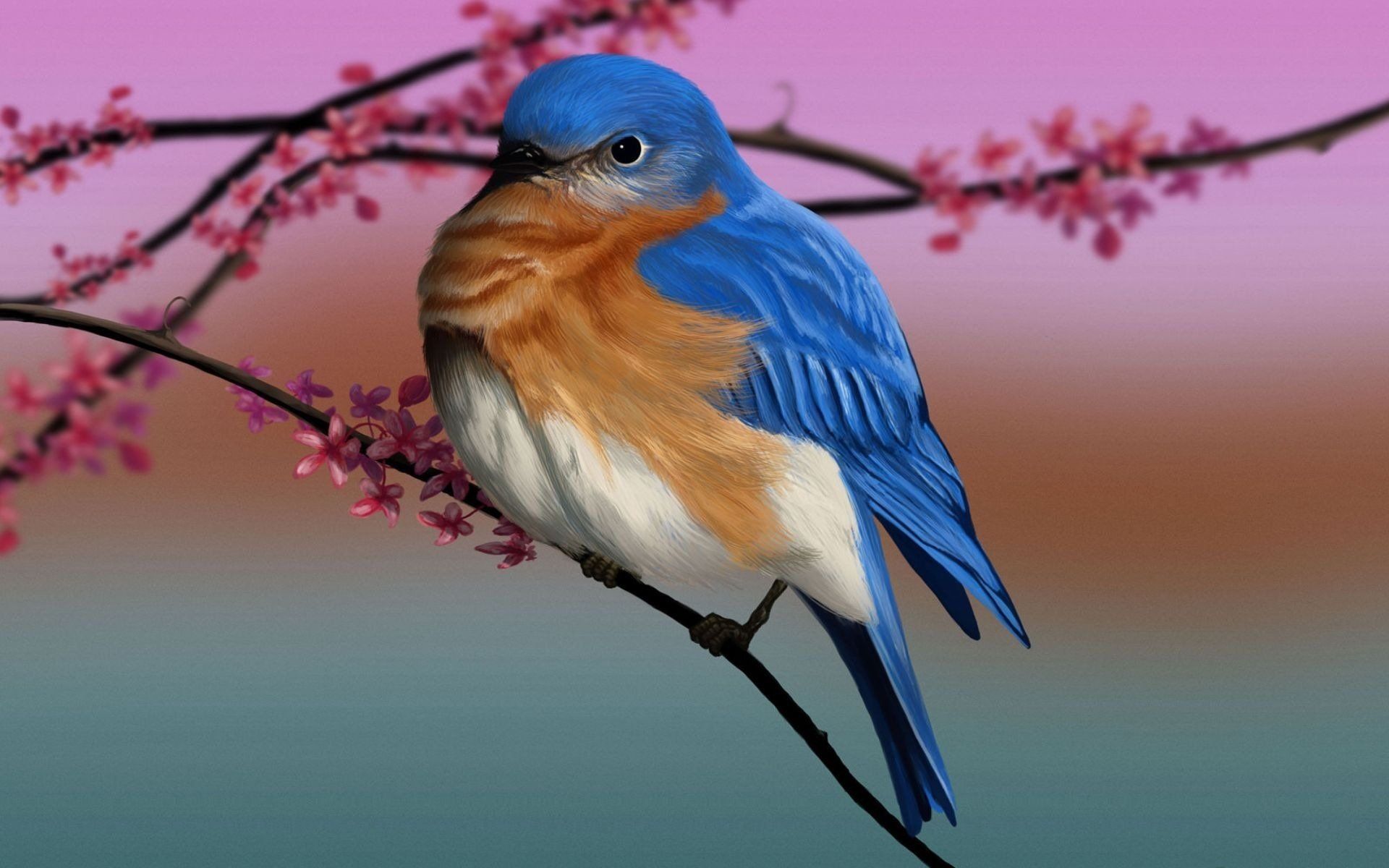 Bluebird Desktop Background. Bluebird