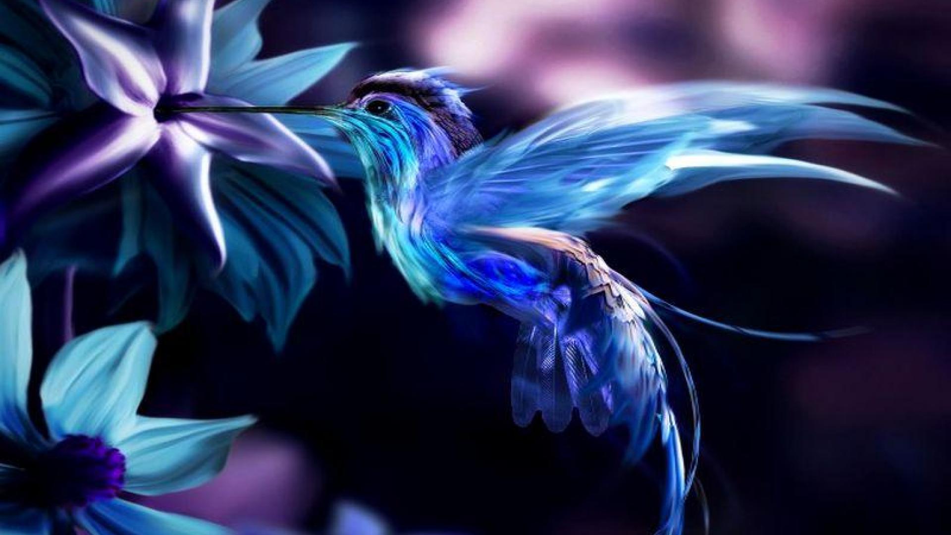 blue bird desktop wallpaper