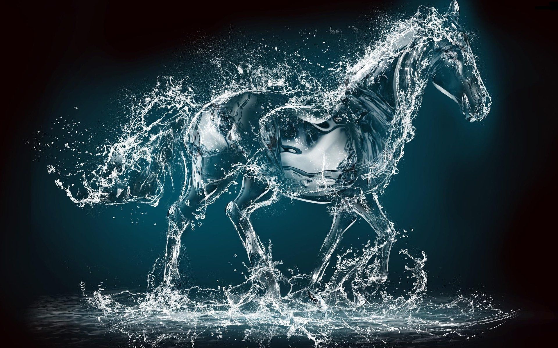 Water Horse HD Wallpaper