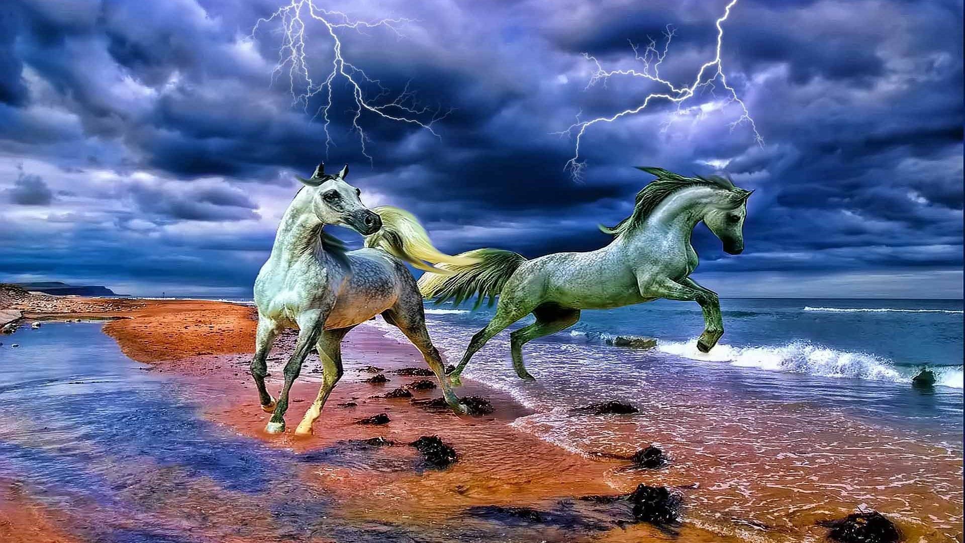 Animals Beauty Wave Beach Horse Nature Thunder Lightning