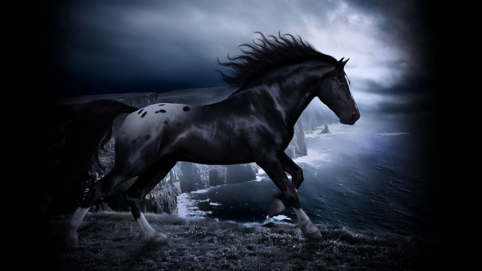 Horse Picture For Desktop Background