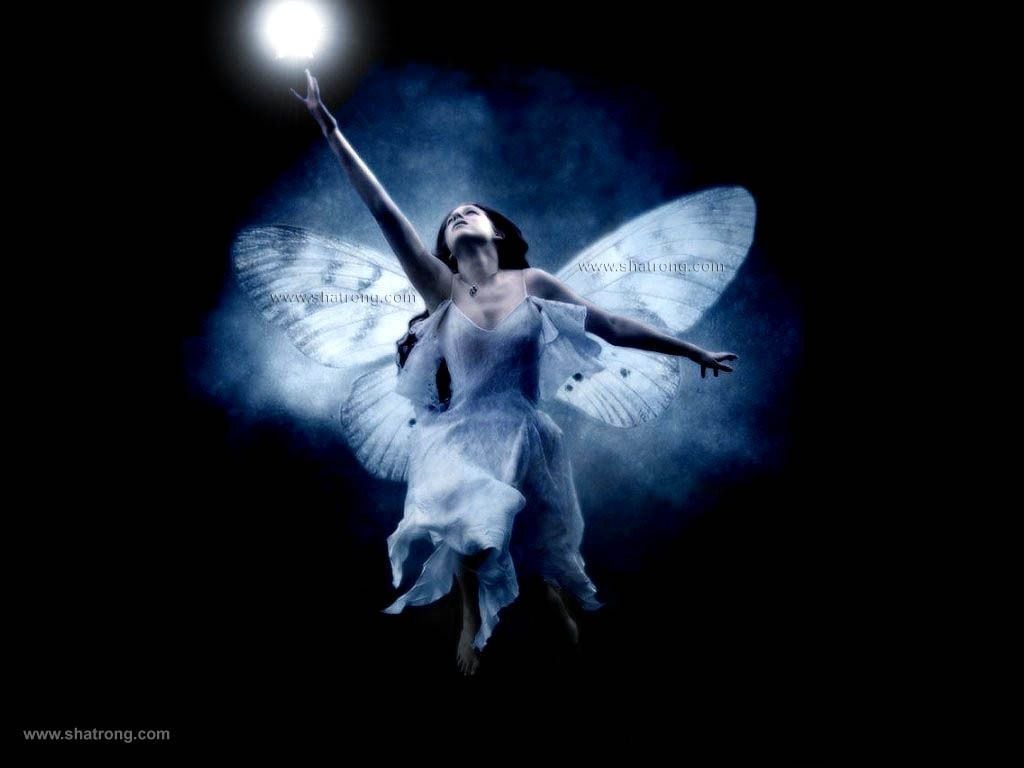 mystical angels. Star Fairy Women Wallpaper 5864993