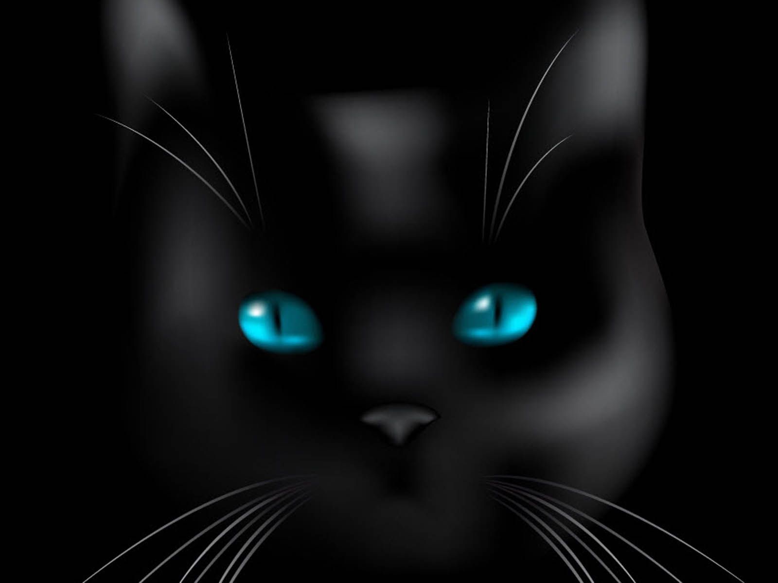 Free download Black Cat Blue Eyes Wallpaper [1600x1200]