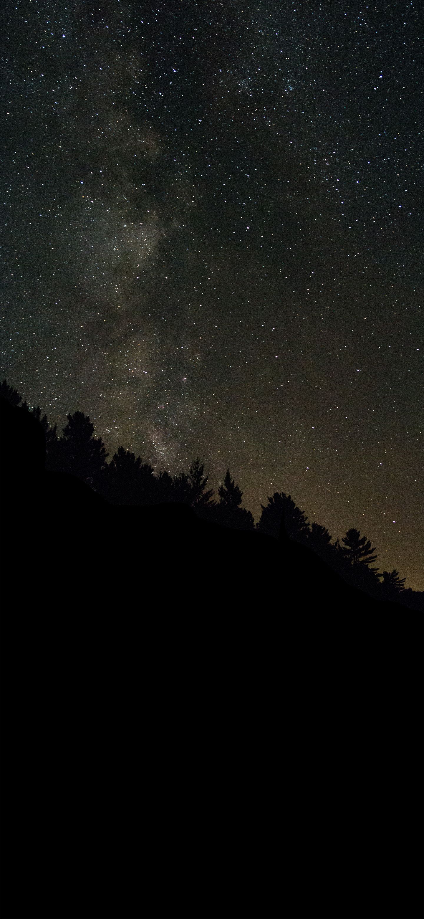 Galaxy over forest Amoled Wallpaper