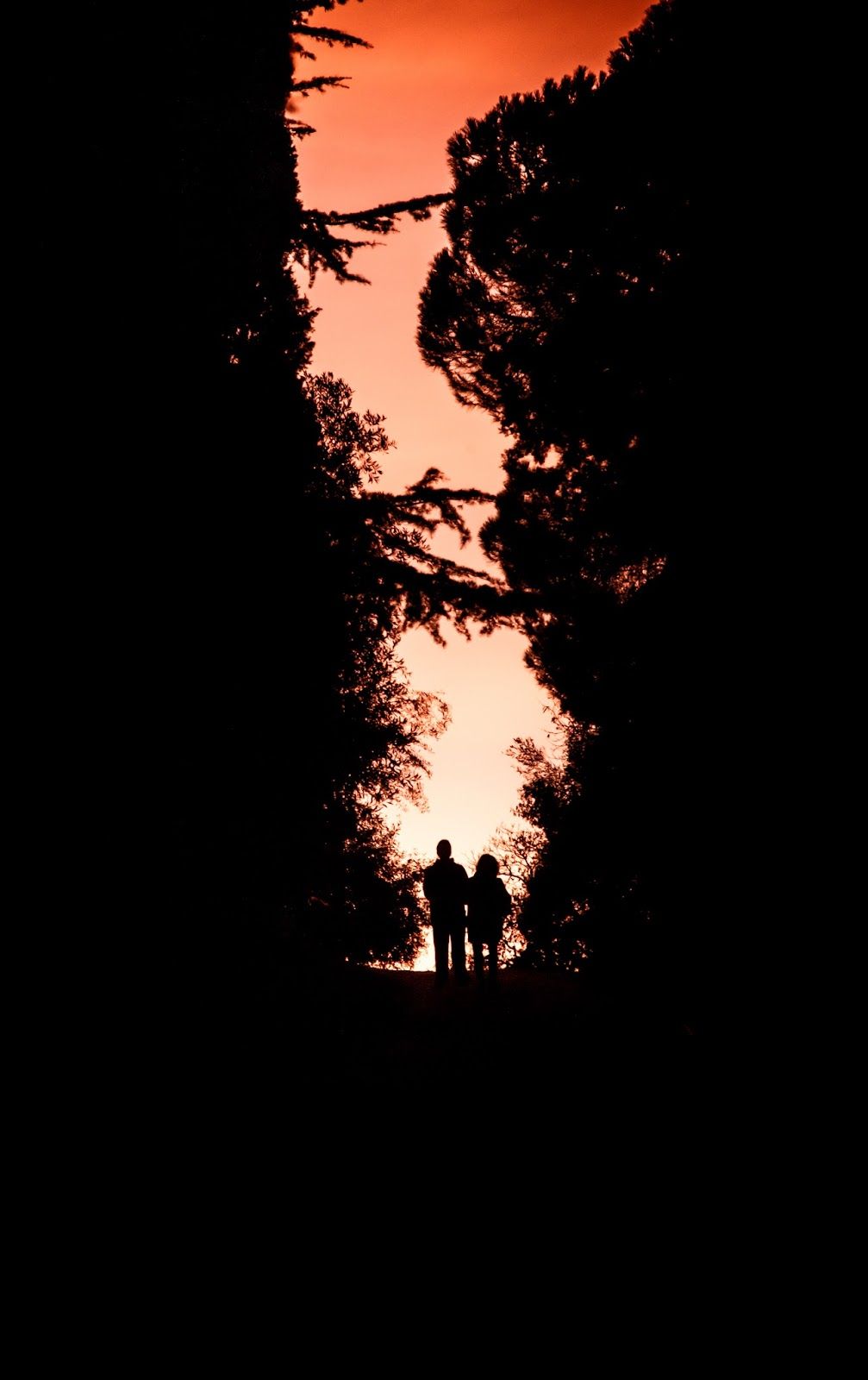 Wallpaper For Amoled Screens, Picture