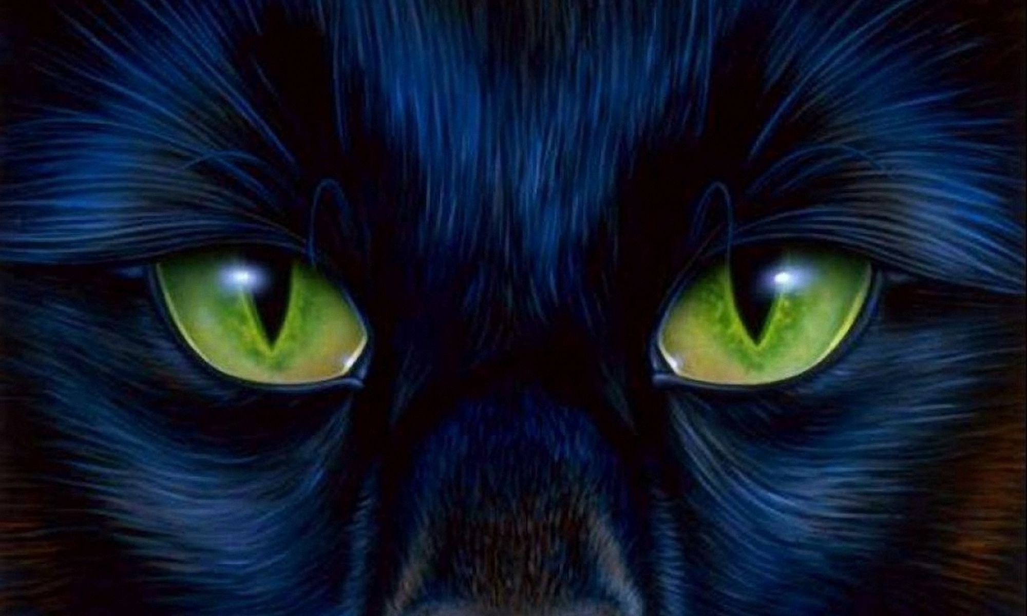 Green Cats Eyes Definition, High Resolution HD Wallpaper, High Definition, High Resolution HD Wallpaper