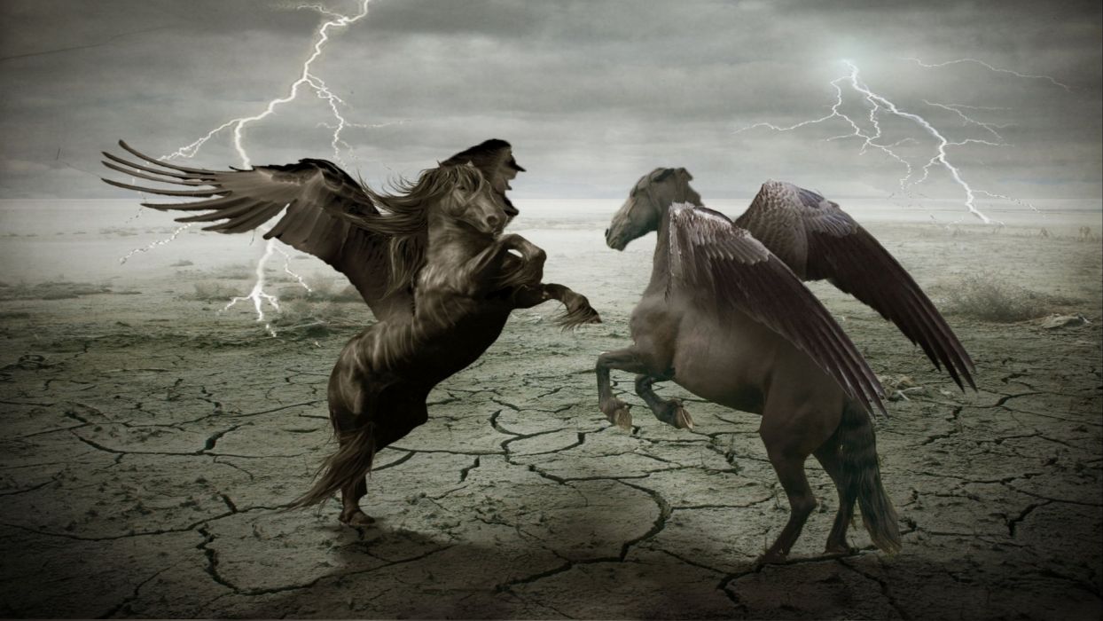 Fantasy pegasus horse animal art artistic artwork wallpaper
