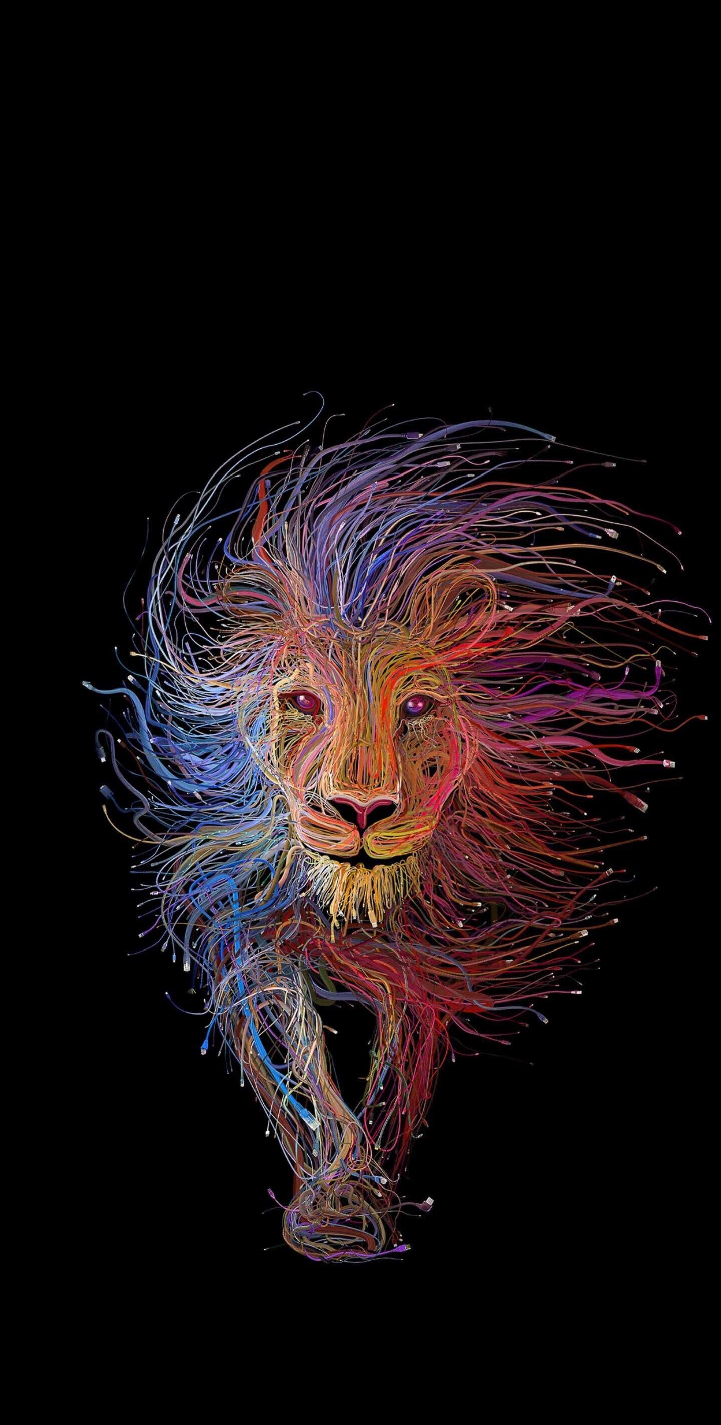 Amoled vivid lion. Animal print wallpaper, Lion wallpaper, Lion