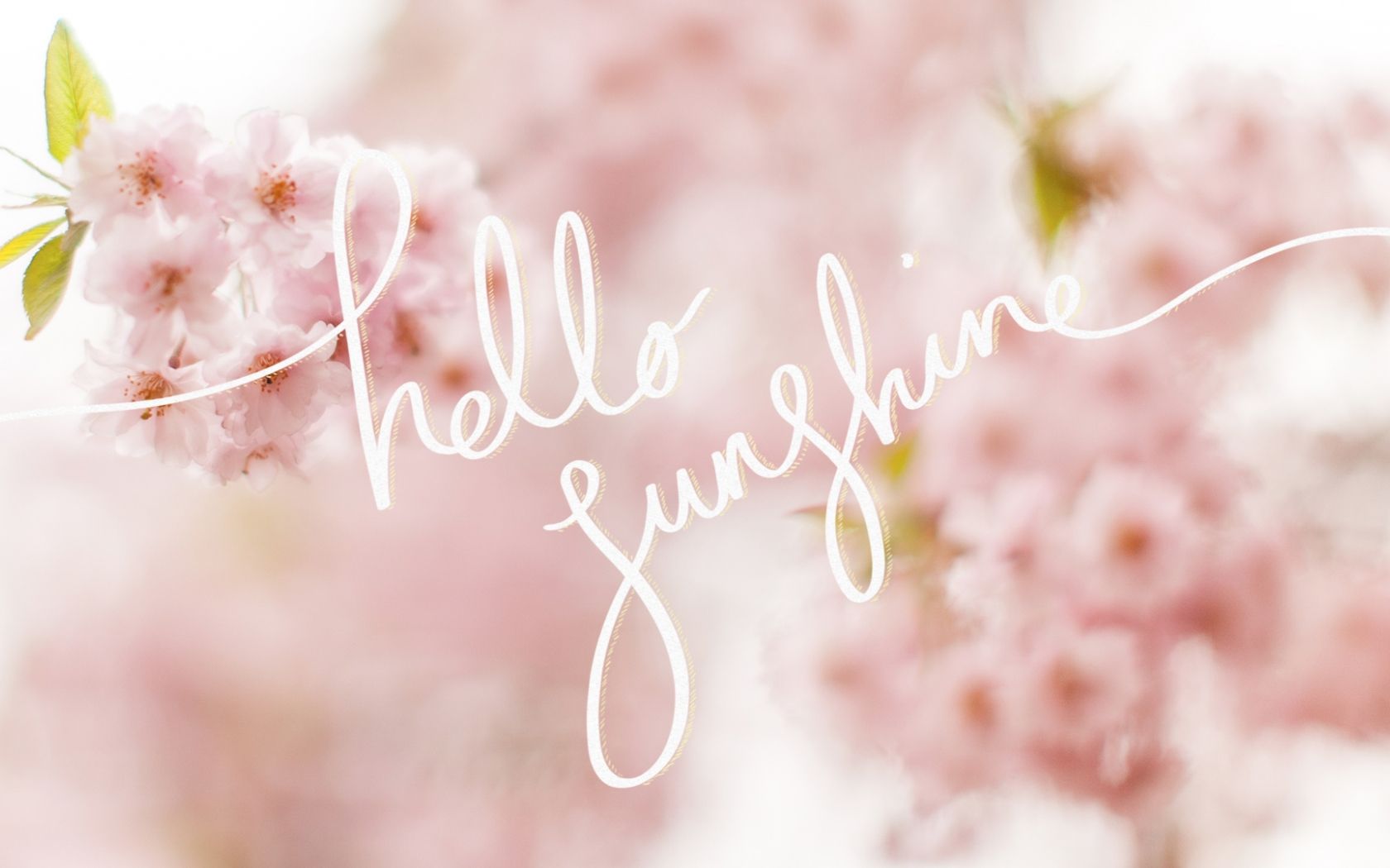 Free download Hello Sunshine A Cherry Blossom Desktop Wallpaper