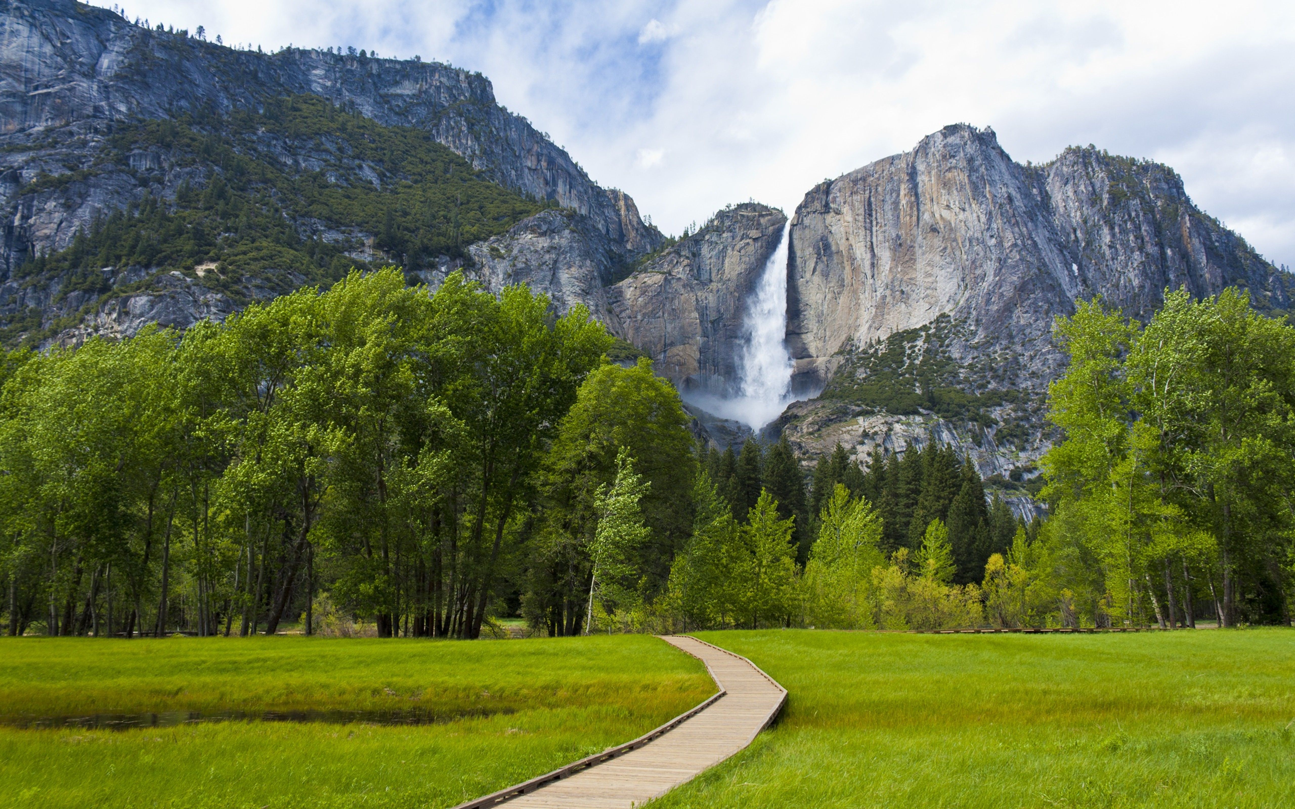 Большие картинки. Йосемитский национальный парк деревья. Йосемитский водопад. Йосемити национальный парк осенью. Йосемитский водопад дерево.
