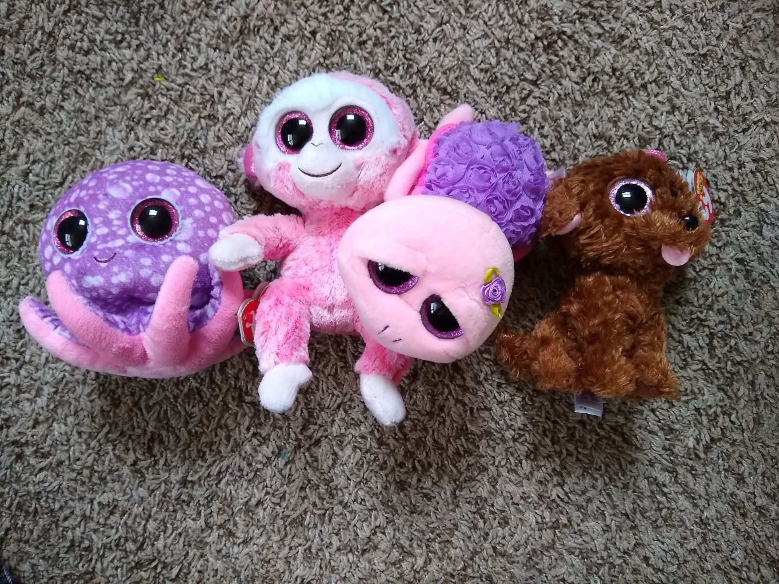 Ty beanie boo plush toys. Missing or damaged hang tags