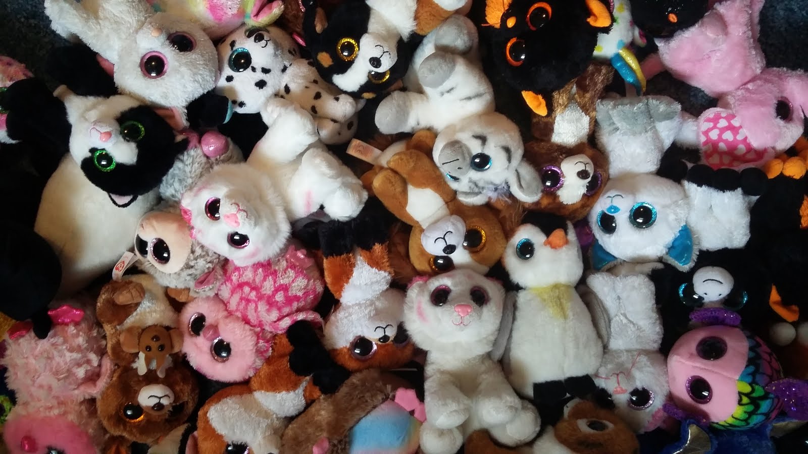 Live And Laugh Collect Beanie Boos And Be Happy And Toy