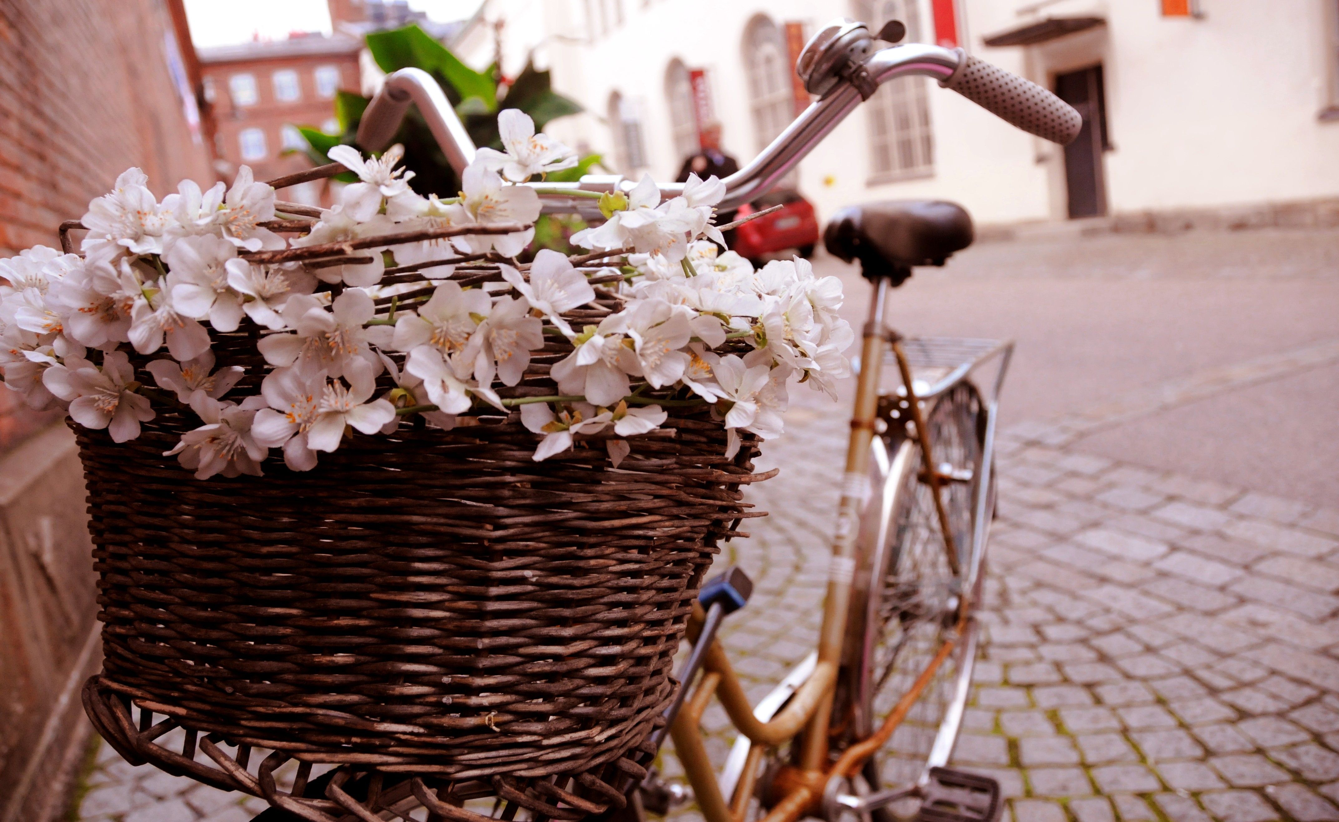 flowers, bicycles, Italian, romantic, European, morning, French