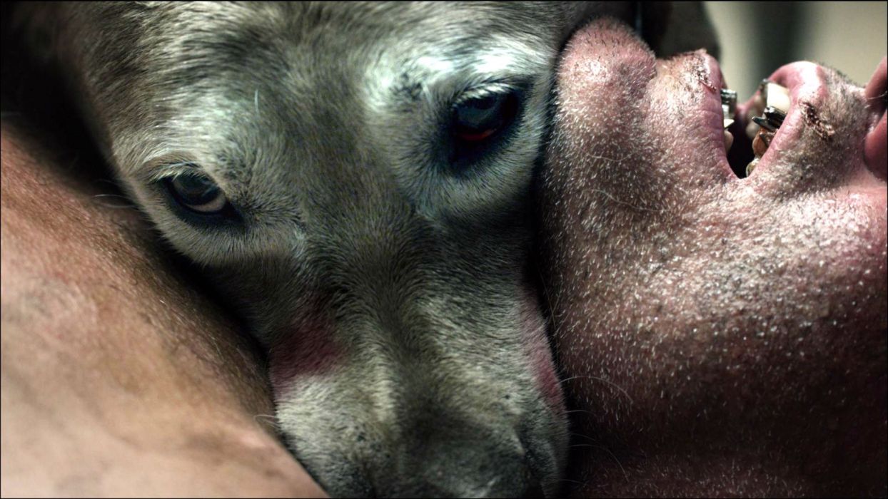 ABCs OF DEATH comedy horror dark anthology death evil dog wallpaperx1080