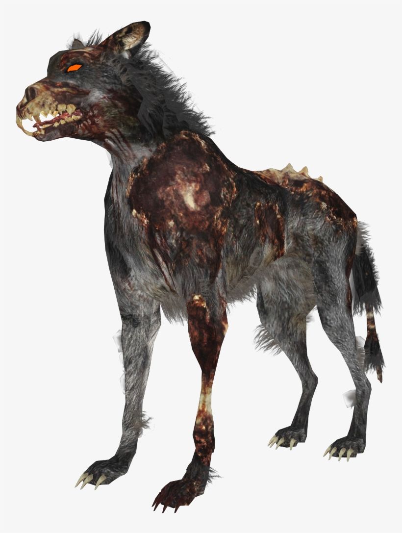 Zombie Wolf Zps4bf8a59d Zombies Hellhound Png, HD Wallpaper