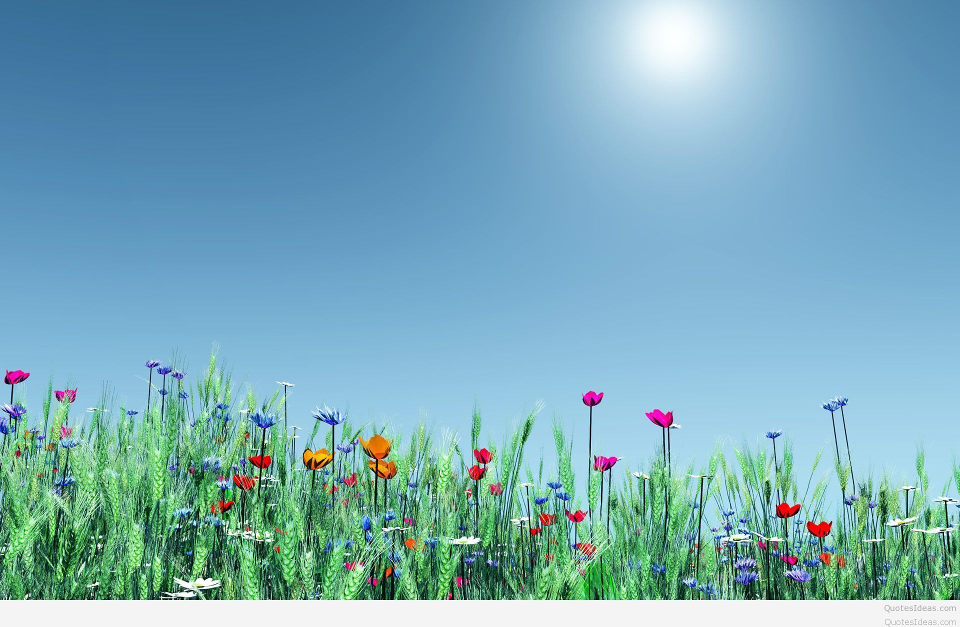 5004 Nature Wallpaper Flowers Spring Wallpaper Image 1920×1200