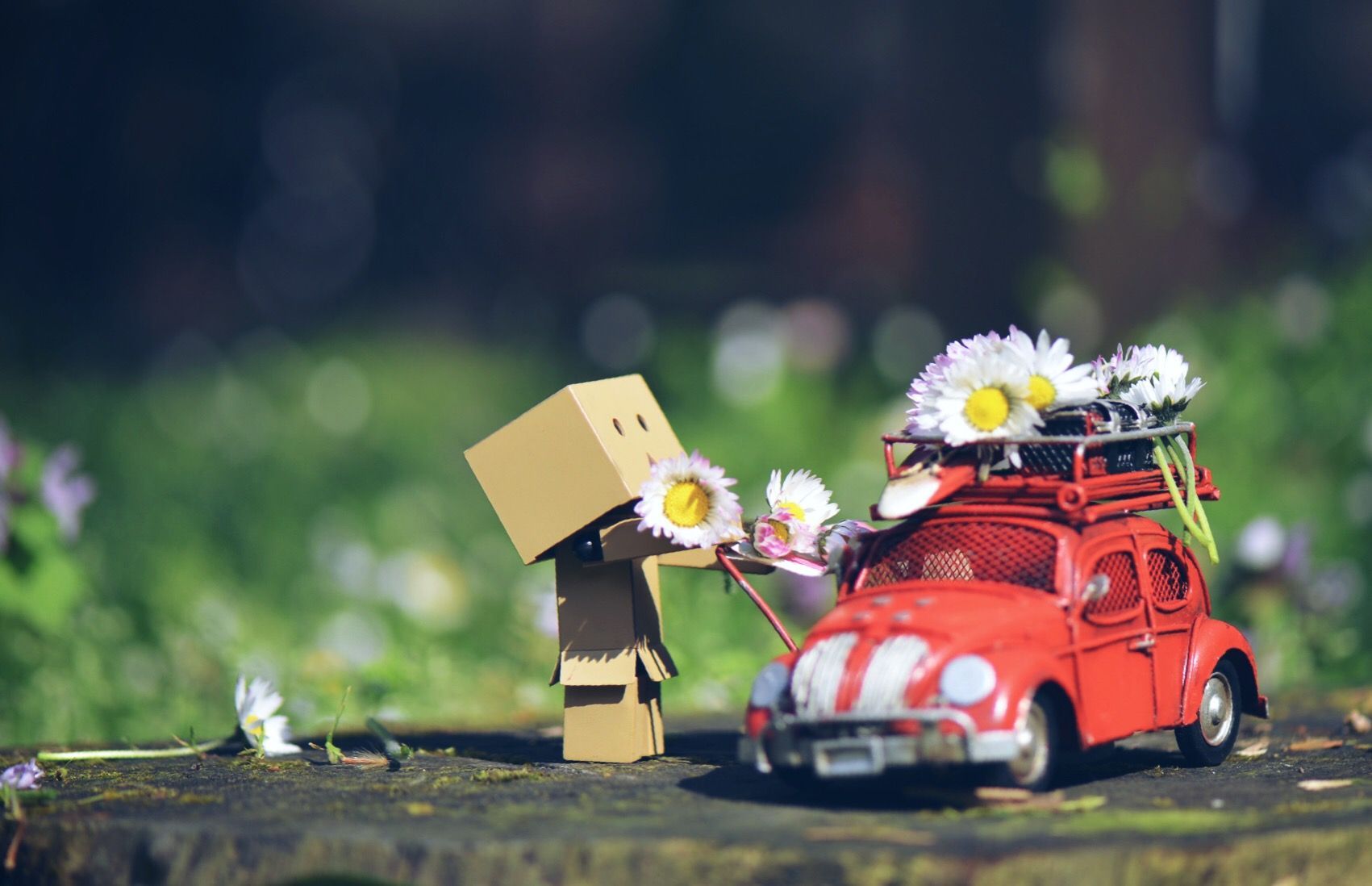daisy #flower #hellospring #small #toys #cute. Miniature