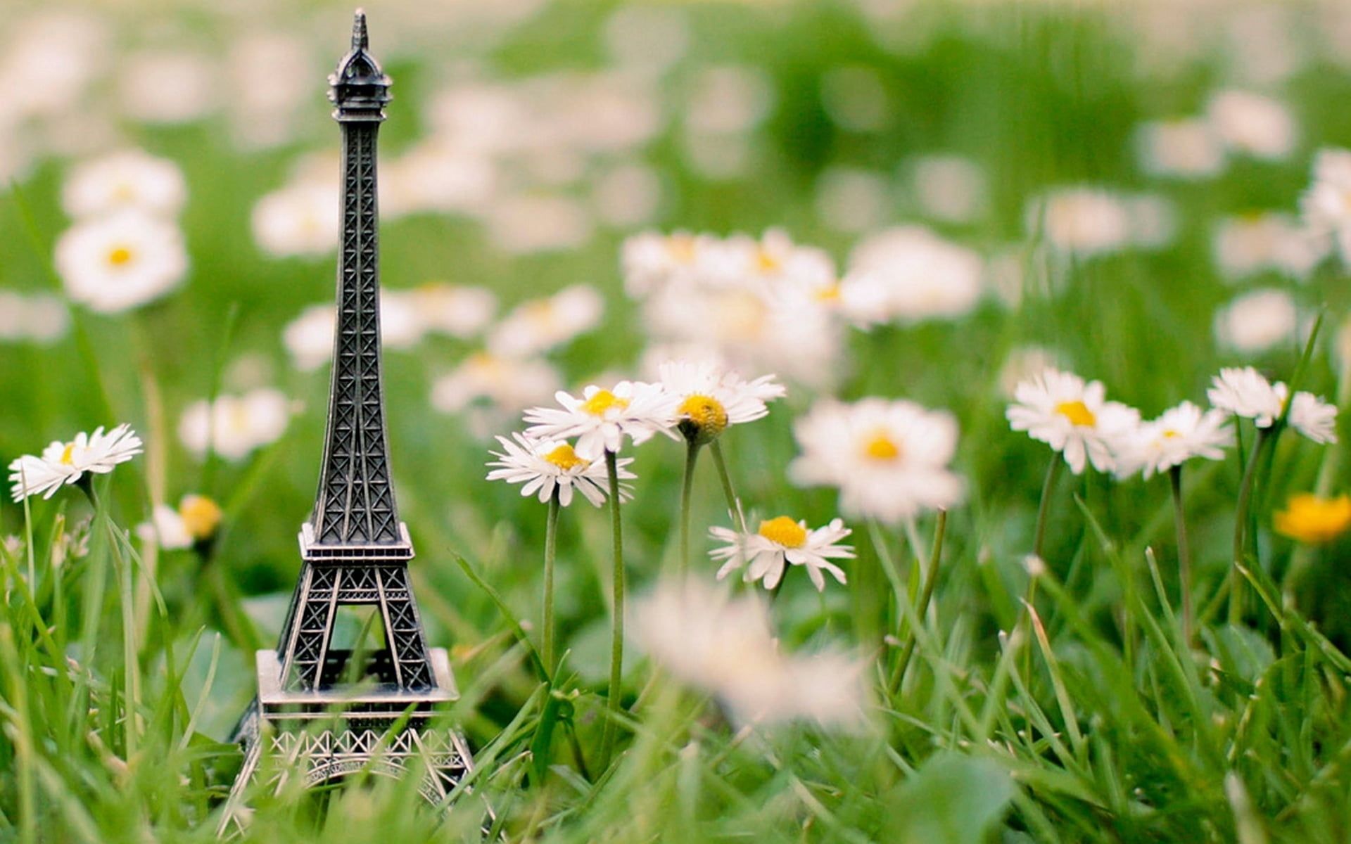 Shallow focus photography of silver eiffel tower miniature