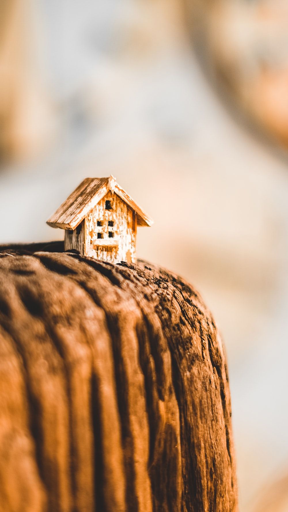 selective focus photography of brown wooden house miniature photo