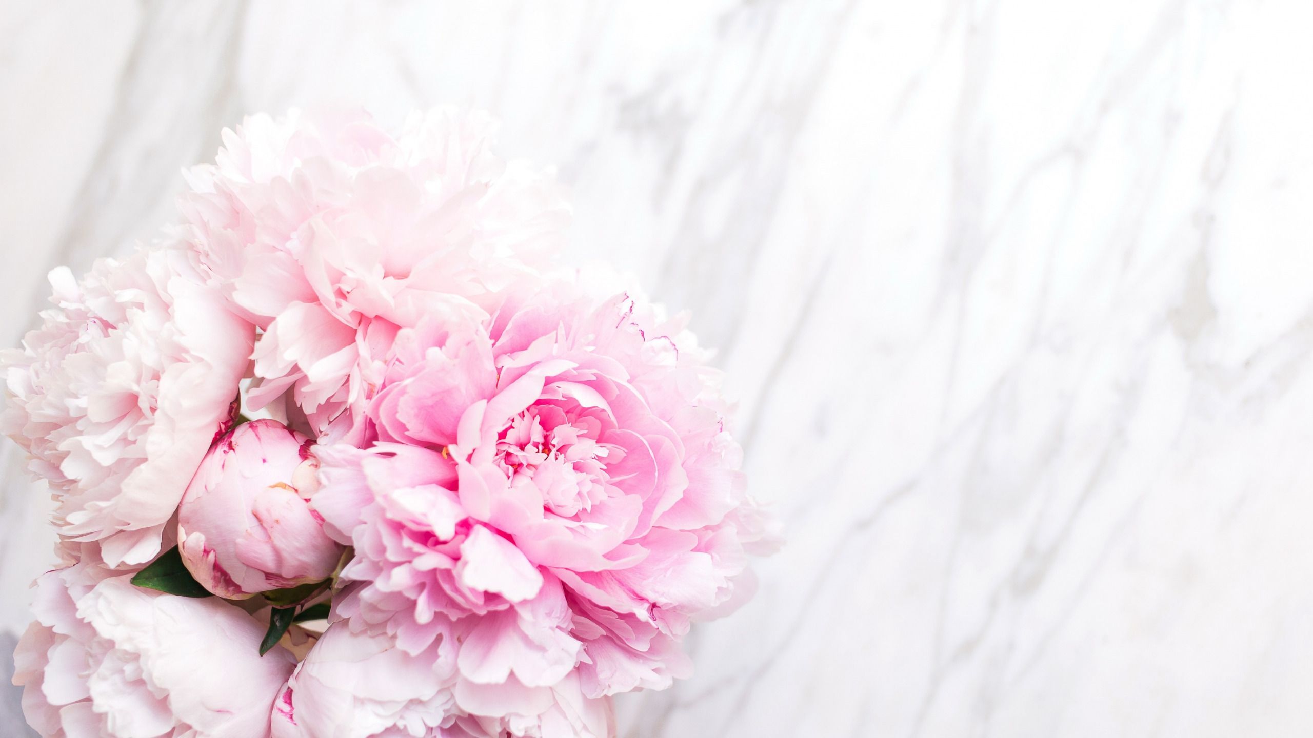 Download wallpaper flowers, bouquet, marble, pink, flowers