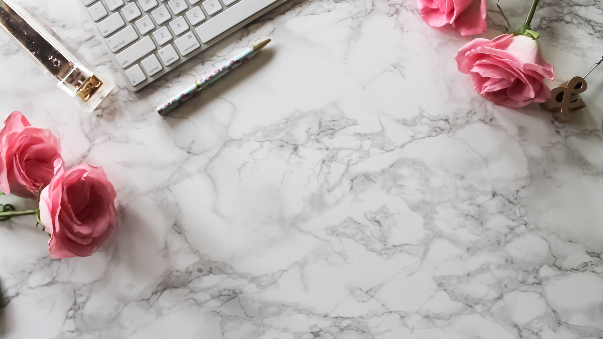 Download wallpaper roses, handle, pink, flowers, roses, keyboard