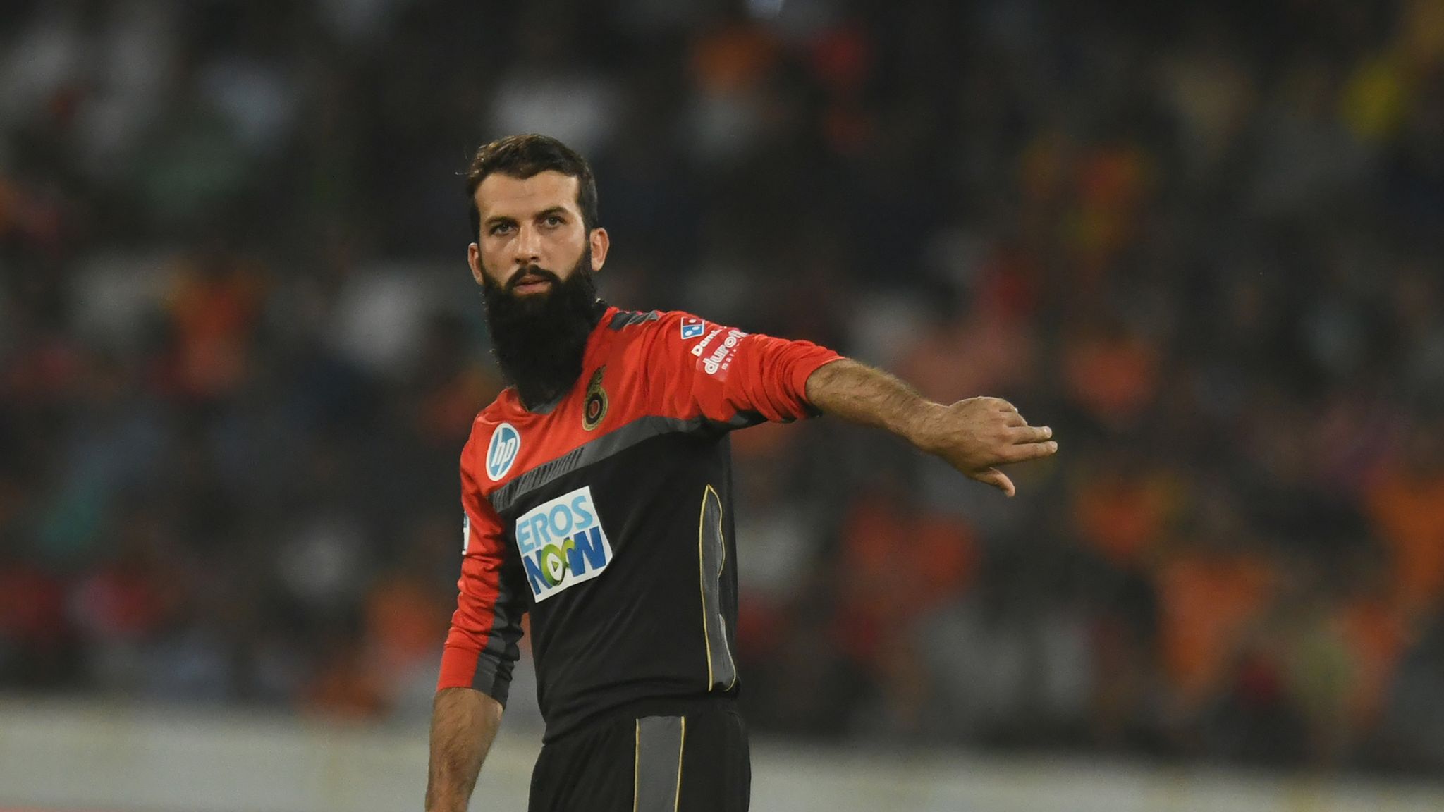 Moeen Ali stars in losing cause for Royal Challengers Bangalore in IPL