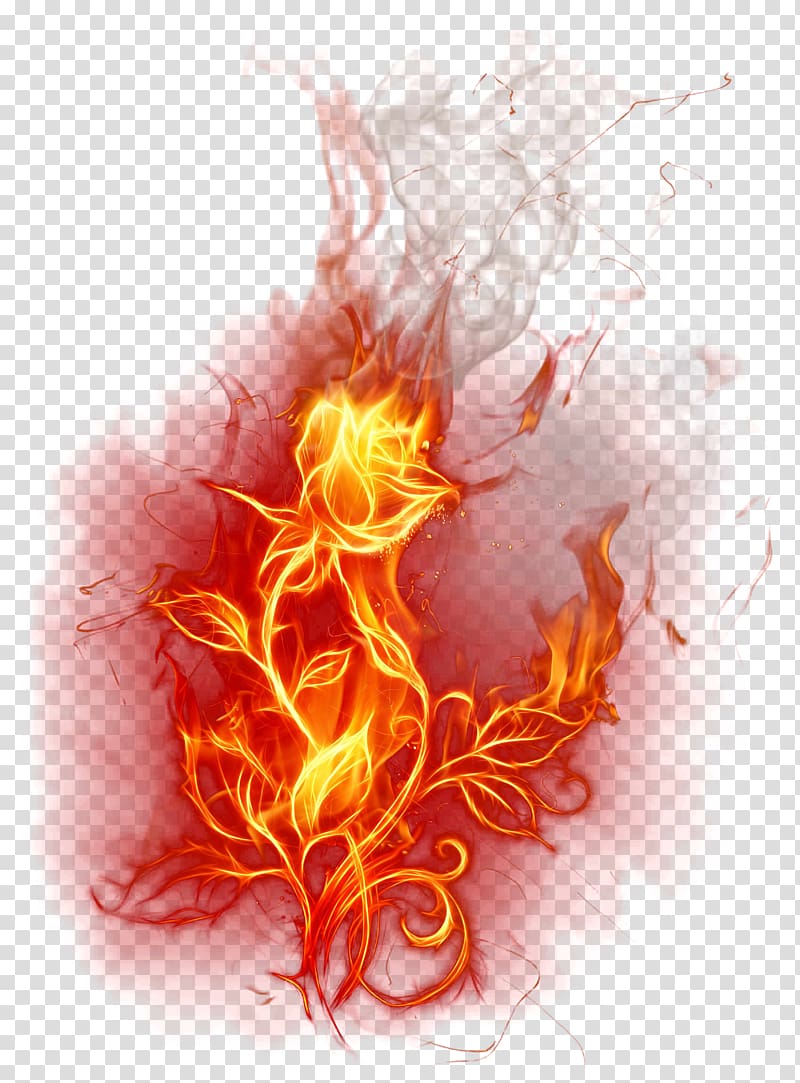 Red fire, Flame Fire Combustion, Burning Rose transparent