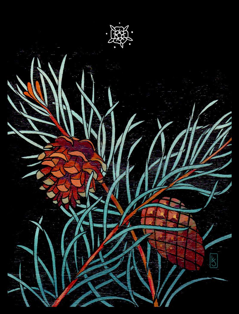 Botanical Tarot Cards, HD Wallpaper & background