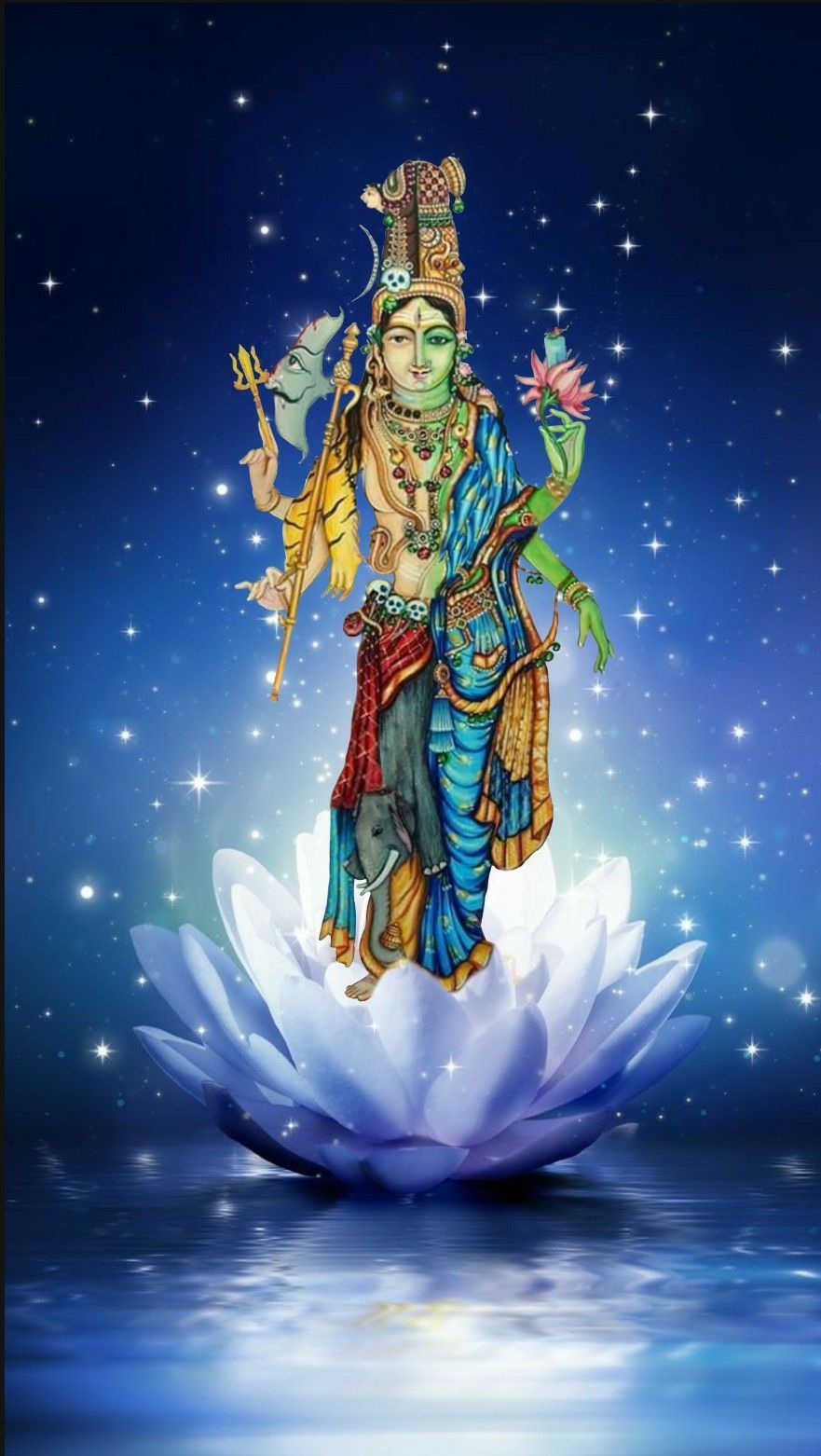 Lord Shiva and Parvati as ardhnarishwar on lotus in creative art