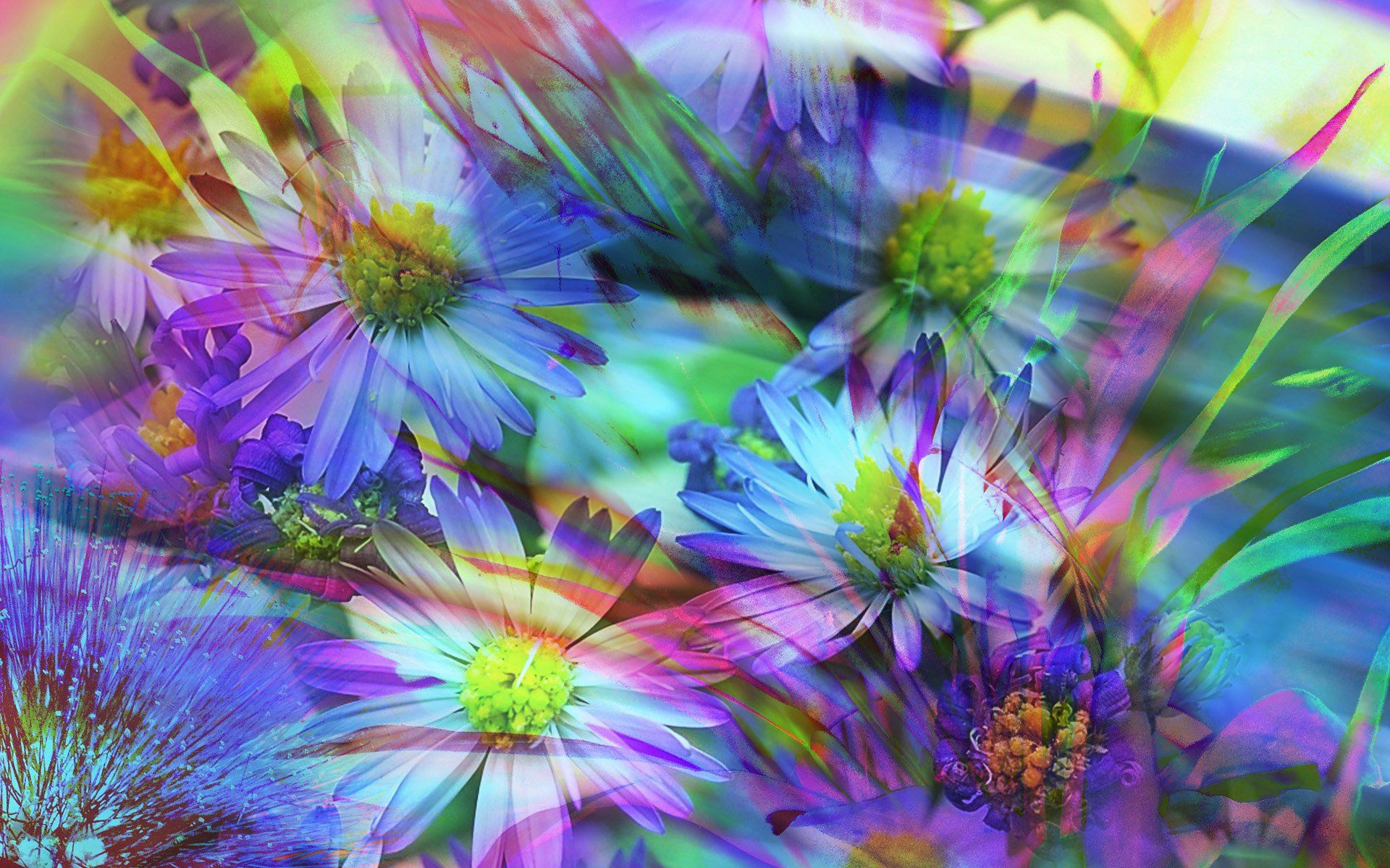 Spring Flowers Abstract 1366x768 Resolution HD 4k