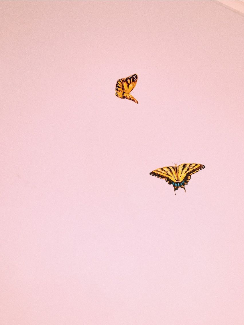 Aesthetic Butterfly Pictures Wallpapers Wallpaper Cave