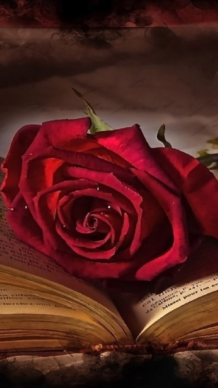 Photography / Love Mobile Wallpaper Rose In Book Love