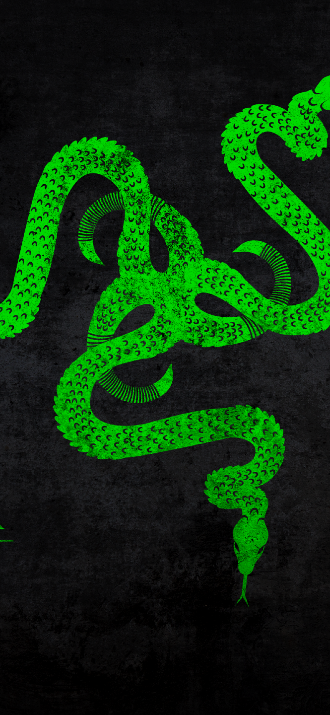 Download 1125x2436 Razer Logo, Green Snake Wallpaper for iPhone X