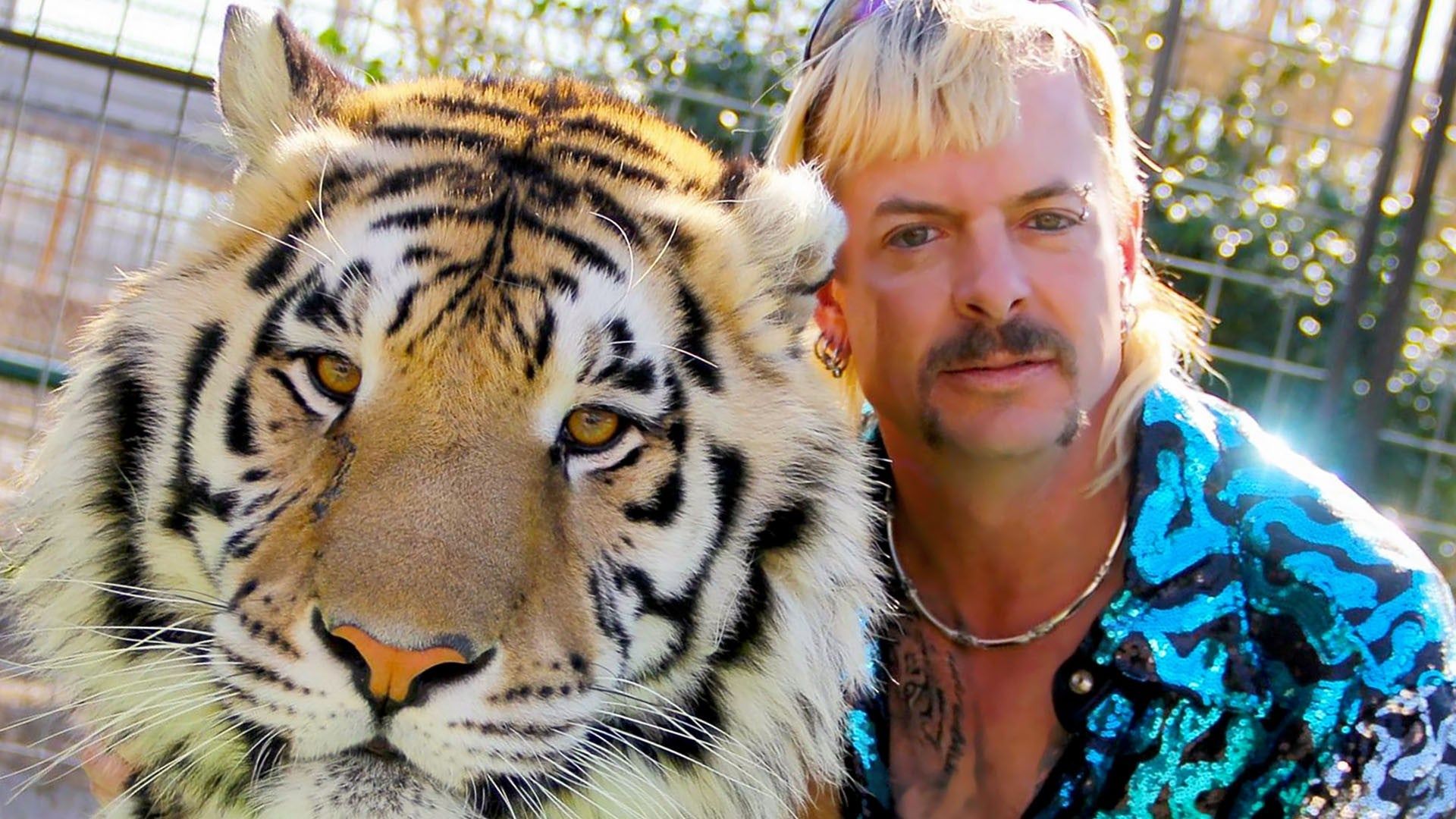 Joe Exotic Wallpapers Wallpaper Cave