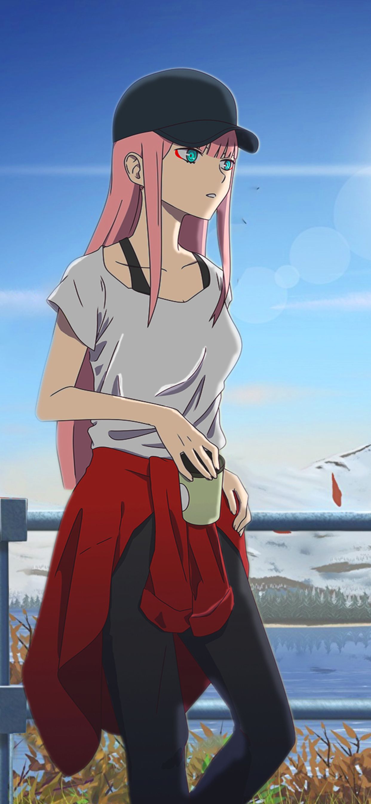 Anime Wallpaper HD: Anime Wallpaper Zero Two Aesthetic