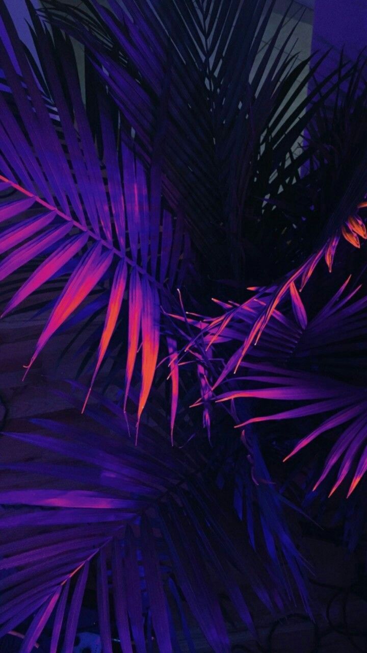 Aesthetic Wallpaper