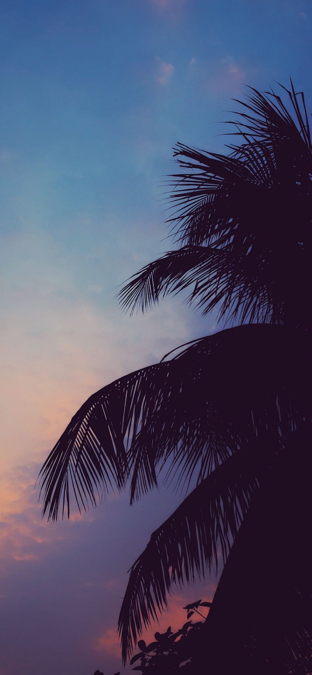IPhone Wallpaper Tumblr Aesthetic 269