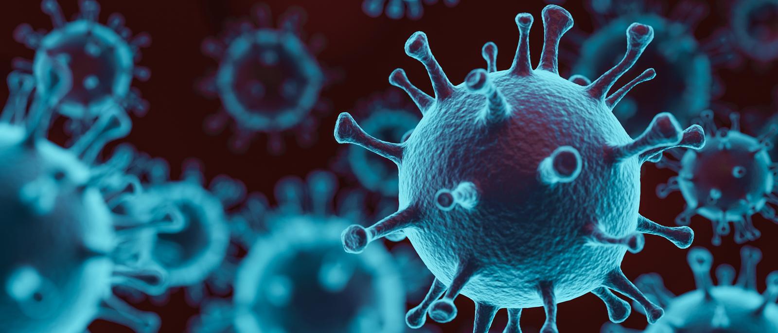Food Safety And The Coronavirus Disease 2019 (COVID 19)