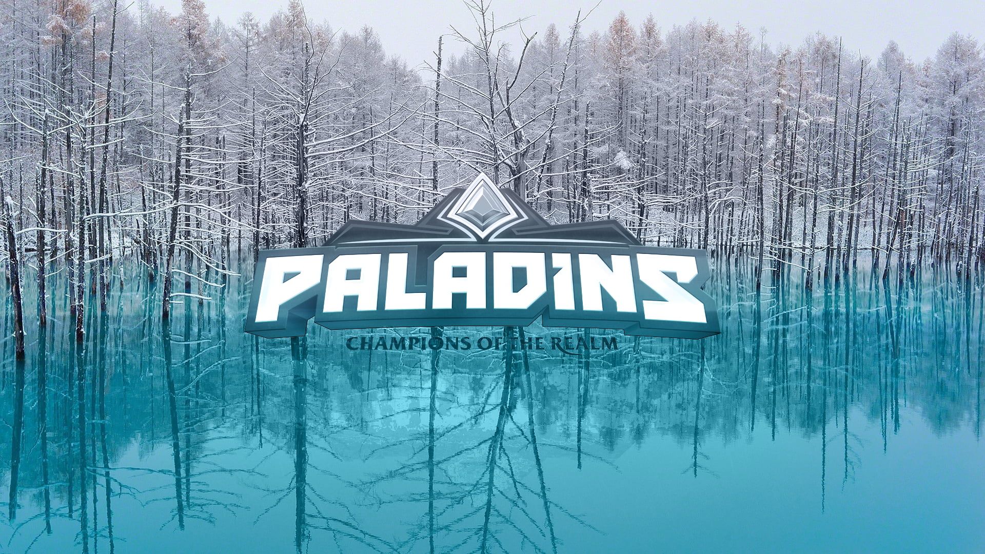 Paladins champions of the Realm logo, Paladin, spes salutis