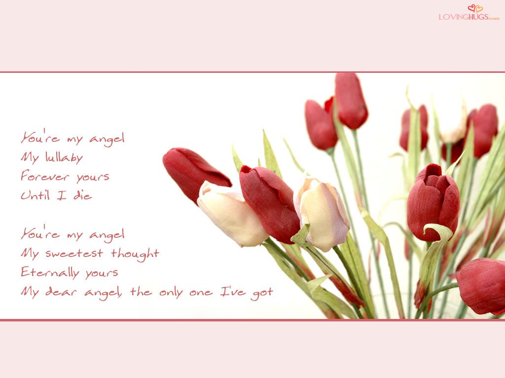 Wallpaper Messages Love Dear You Are My Angel, HD Wallpaper