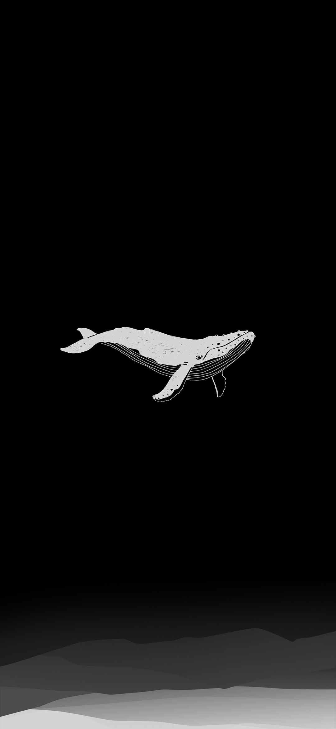 Wallpaper AMOLED Whale