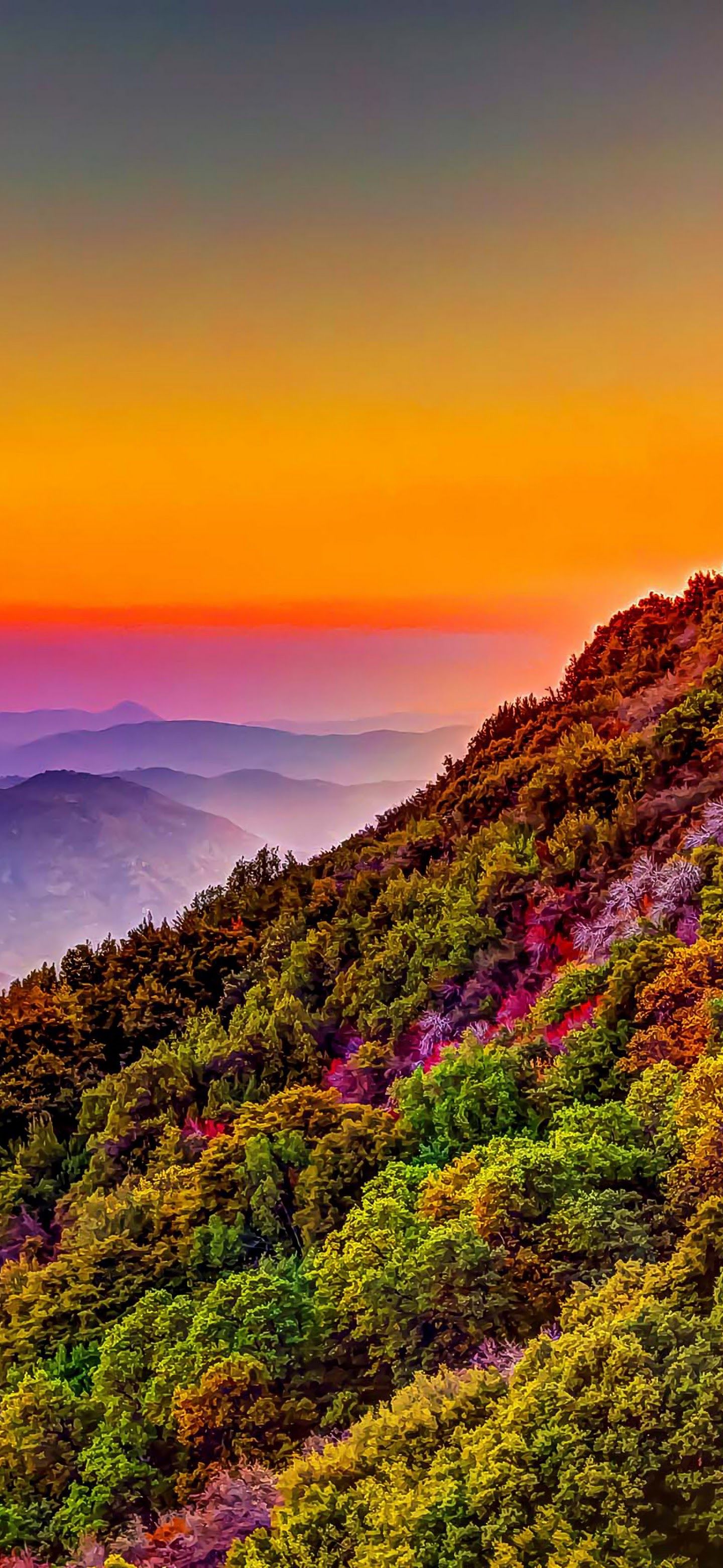 Mountain Colorful Forest Nature Sunset Scenery 4K Wallpapers