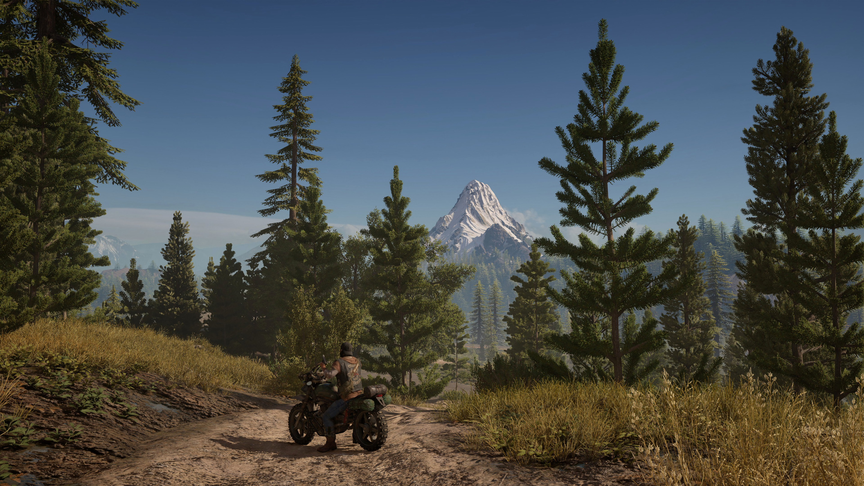 Days Gone Wide Wallpaper 62609 2880x1620px