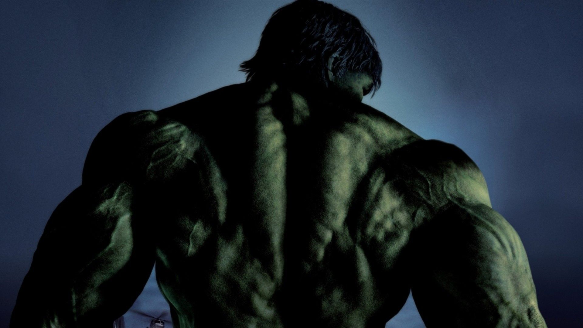 Hulk Hulk Back View Wallpaper