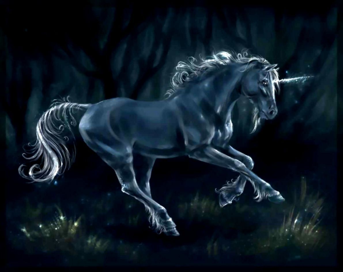 Fantasy Unicorn Wallpaper Free HD. Full HD Wallpaper