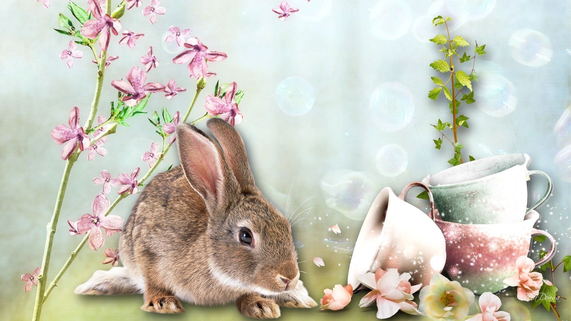 48+ Spring Bunny Wallpapers.