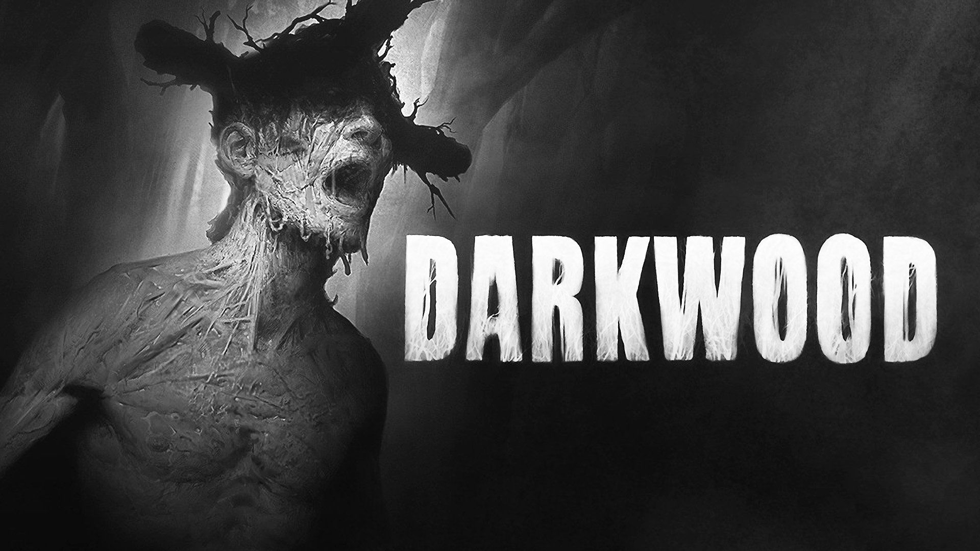 Darkwood HD Wallpaper and Background Image