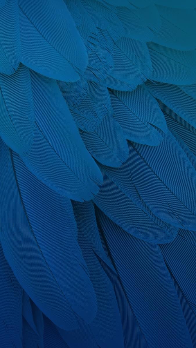 Wallpaper for VIVO Free for Android