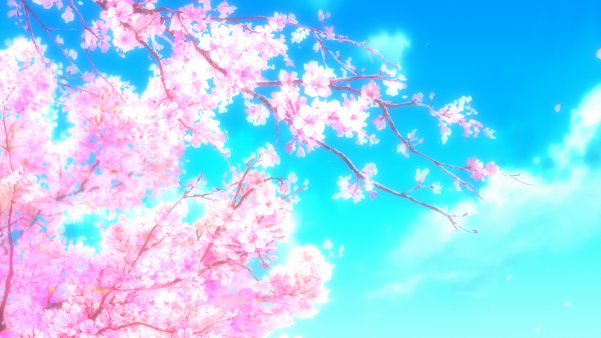 Anime Sakura Trees HD Wallpaper - Wallpaper Cave